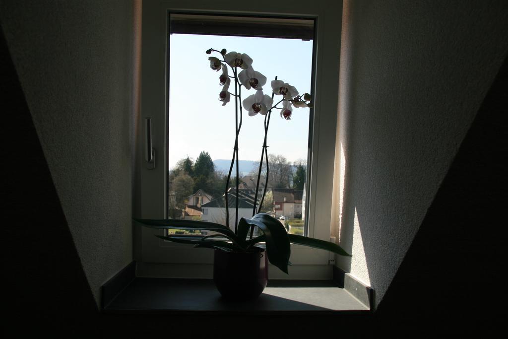 Hotel Eremitage Arlesheim Eksteriør billede